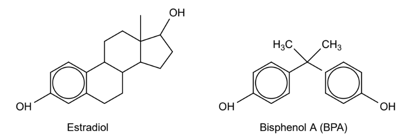 Chemische Strukturformeln von Estradiol und Bisphenol A (BPA) mit Beschriftung.